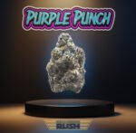 Purple Punch (Legacy)
