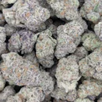 Purple Punch (Legacy) - Image 2